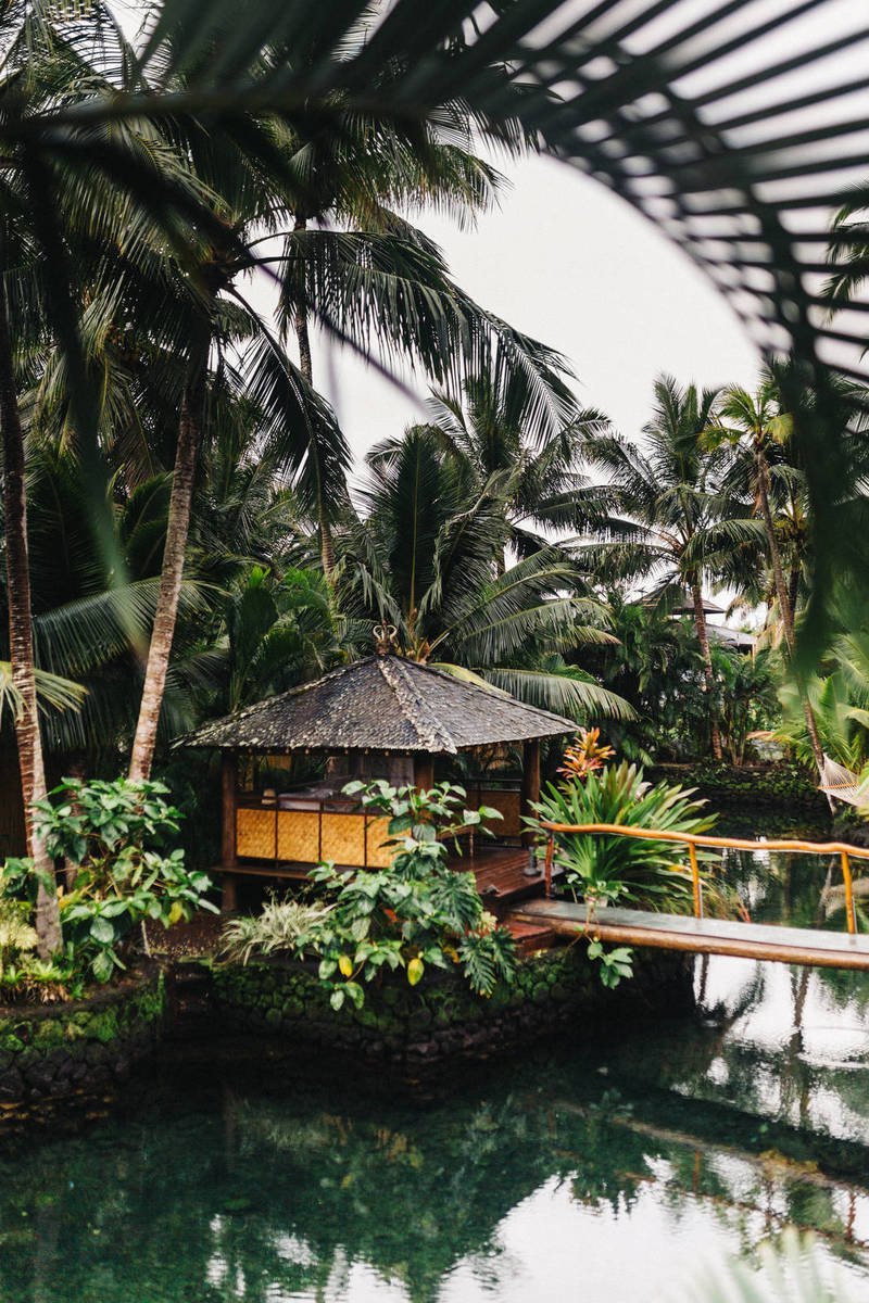 China Travel Growth Slows During Y23 Dragon Holidays