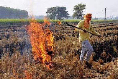 Punjab: पराली जलाने वाले किसान सावधान! पड़ सकते हैं लेने के देने पराली जलाने वाले किसान सावधान