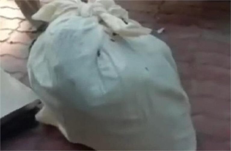 Punjab: पुलिस के हाथ लगी बड़ी सफलता, चिट्टे सहित युवक गिरफ्तार पुलिस के हाथ लगी बड़ी सफलता