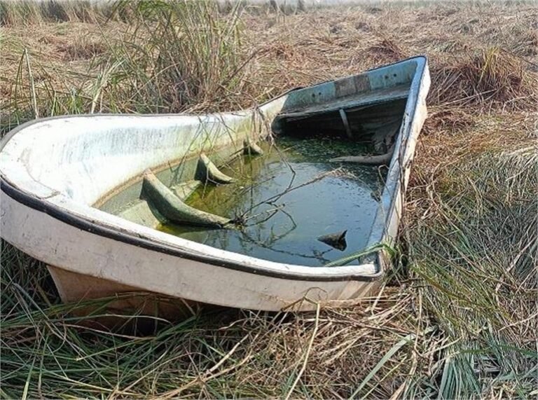 पाकिस्तान से भारत में दाखिल हुई नाव, जांच में जुटी BSF