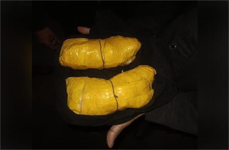 पाकिस्तान की नापाक हरकतें लगातार जारी, बरामद की हेरोइन की बड़ी खेप