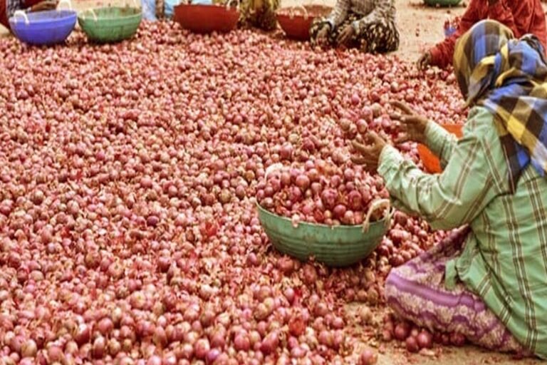 Onion Price Hike