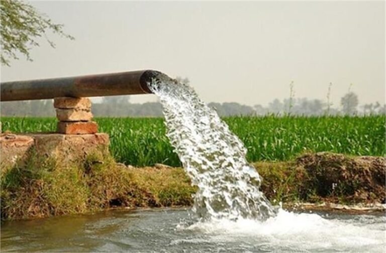 पंजाब में जारी हुए सख्त आदेश, हुआ यह Ban... जानें क्या है पूरा मामला